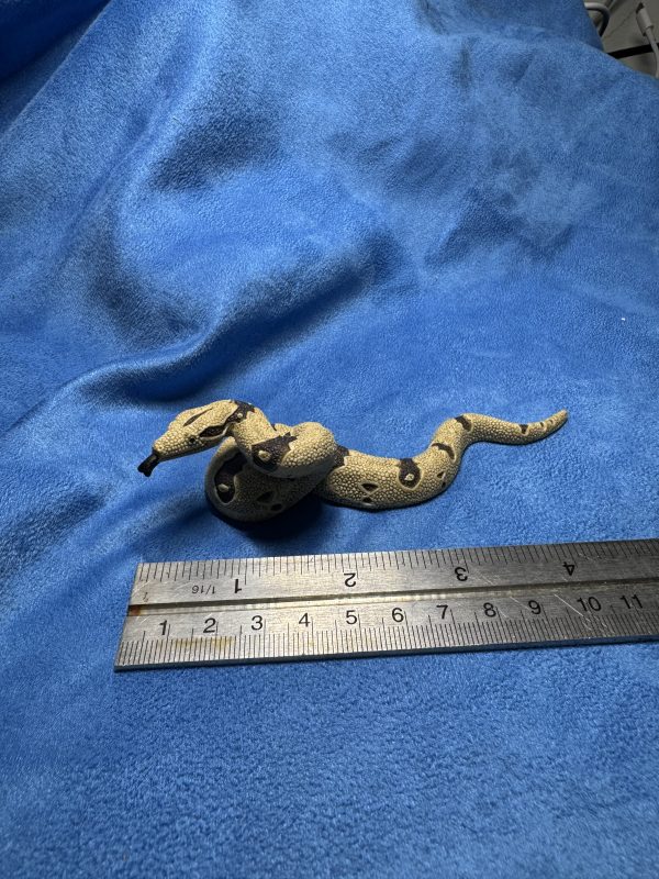 Schleich second hand Snake (1)