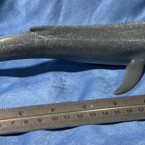 Schleich second hand Blue Whale (I think that's what it is!)