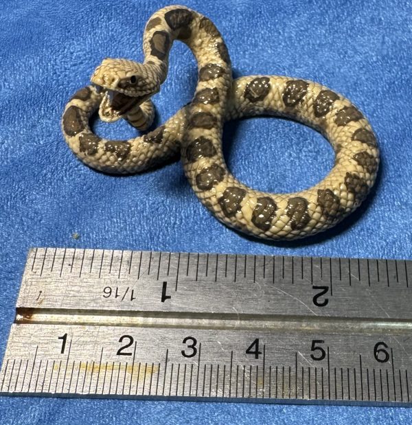 Schleich second hand Snake (3)