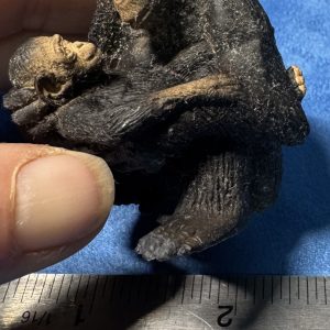 Schleich second hand Chimpanzee mum and baby