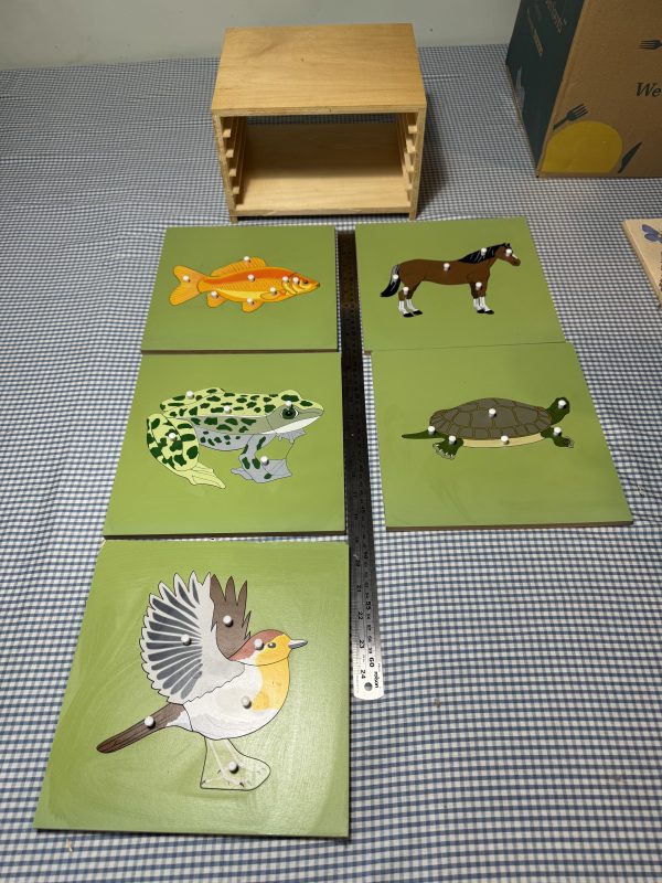 Montessori style creatures with removable sections to see skeletons - Image 2