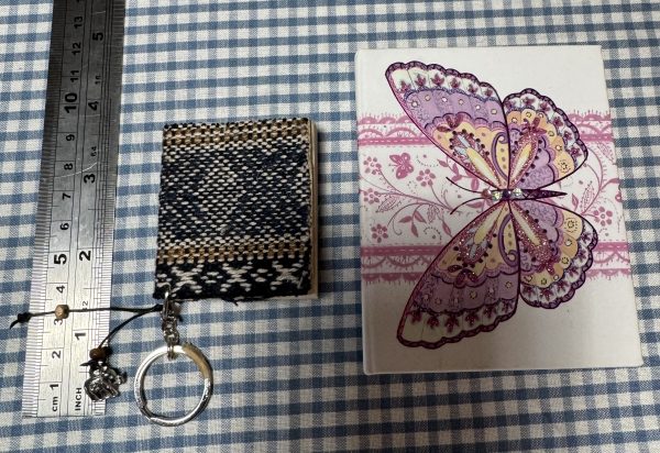 Two tiny little plain paper books