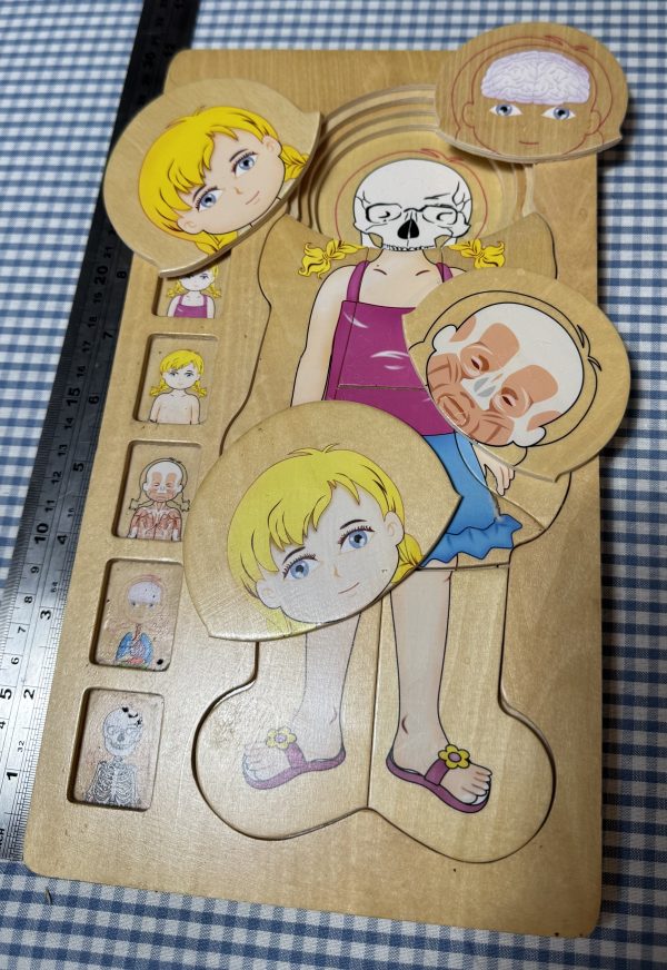 Fit the puzzle - girl