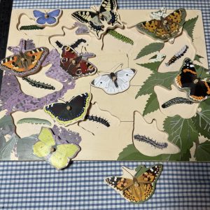 Montessori style butterfly board
